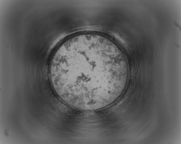 X0000096951310200803071019