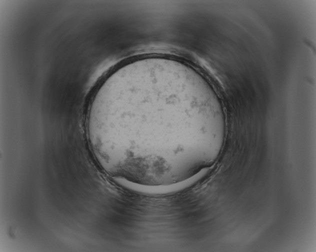 X0000096951312200803071019