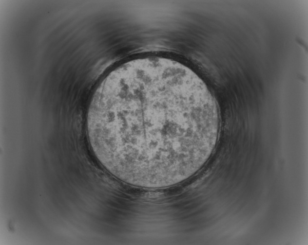 X0000096951313200803071019