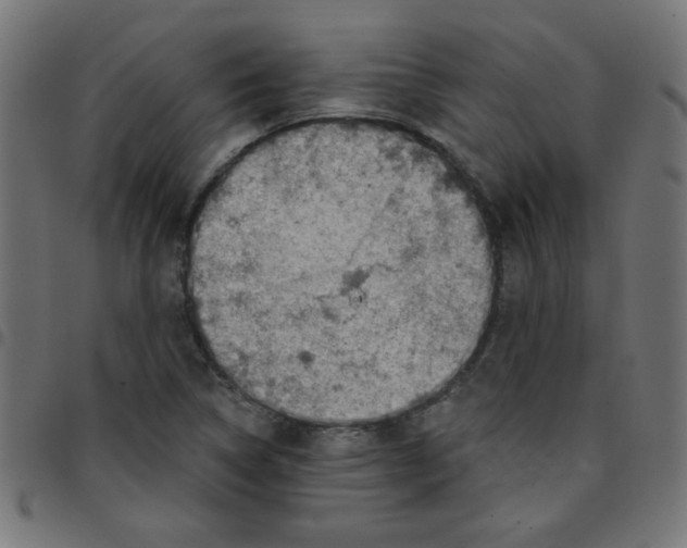 X0000096951314200803071019