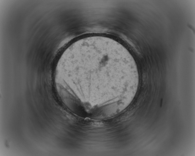 X0000096951315200803071019