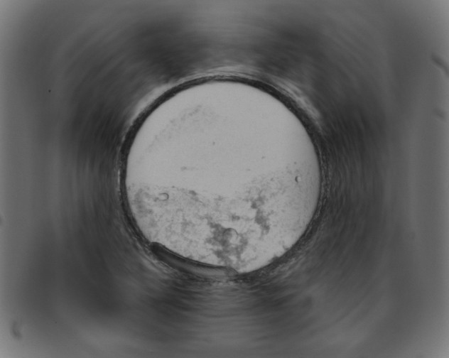 X0000096951316200803071019