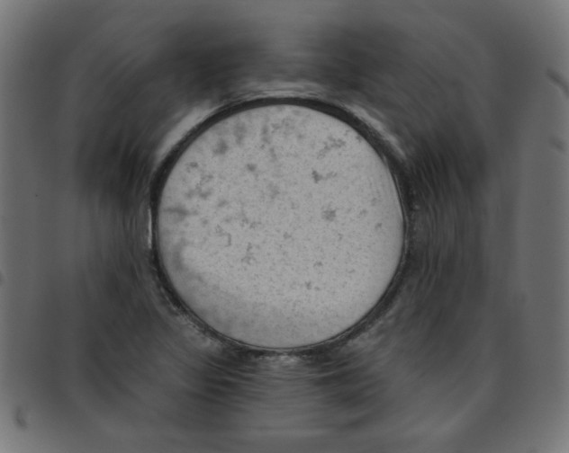 X0000096951317200803071019