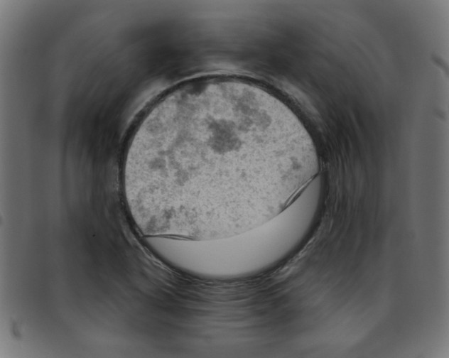 X0000096951318200803071019