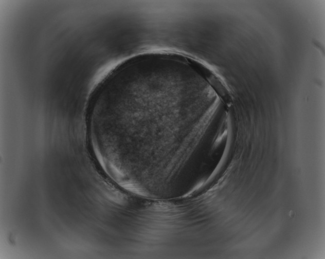 X0000096951319200803071019