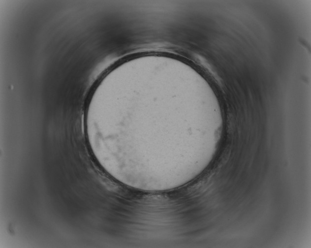 X0000096951320200803071019