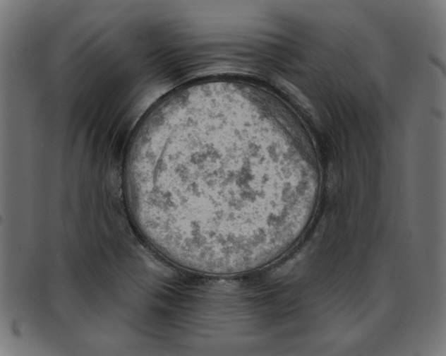 X0000096951321200803071019