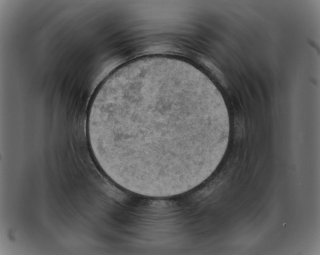 X0000096951322200803071019