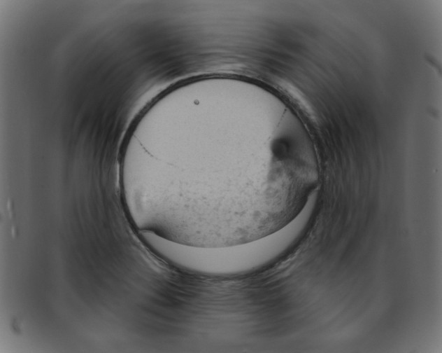 X0000096951324200803071019