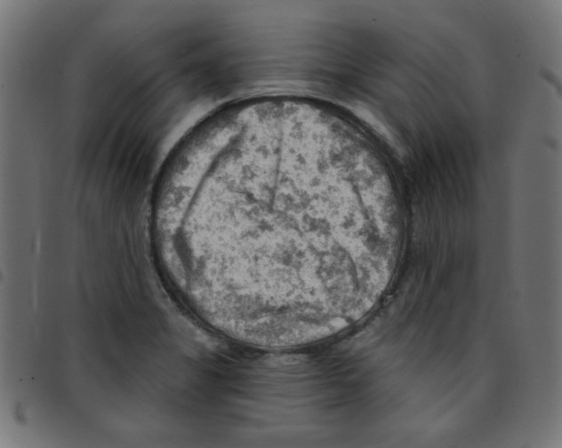 X0000096951325200803071019