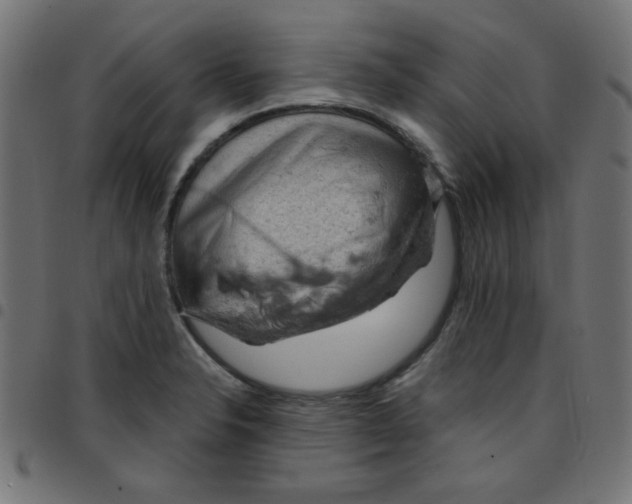 X0000096951326200803071019