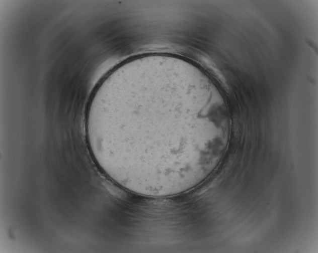 X0000096951328200803071019