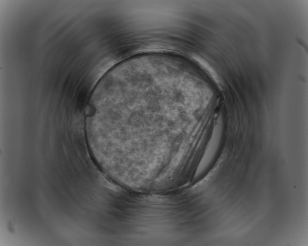 X0000096951329200803071019