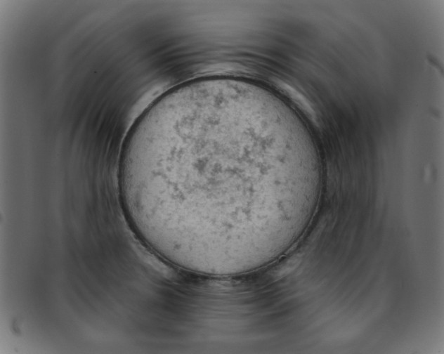 X0000096951330200803071019