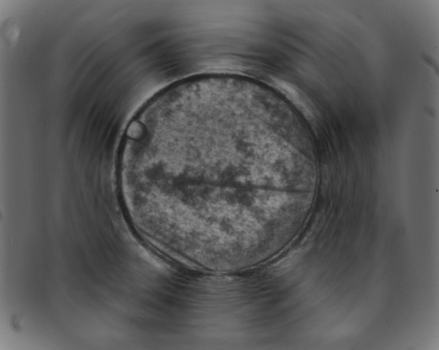 X0000096951331200803071019