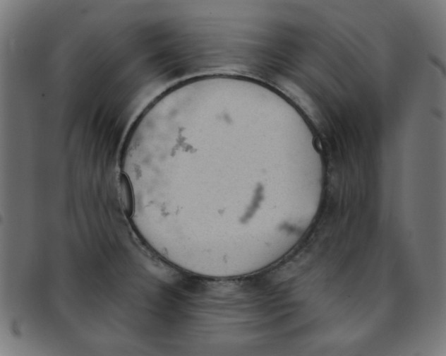 X0000096951332200803071019