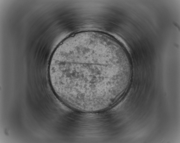 X0000096951333200803071019