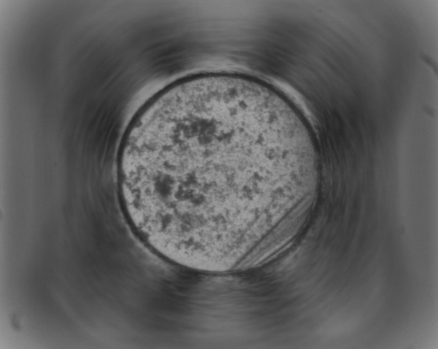X0000096951335200803071019