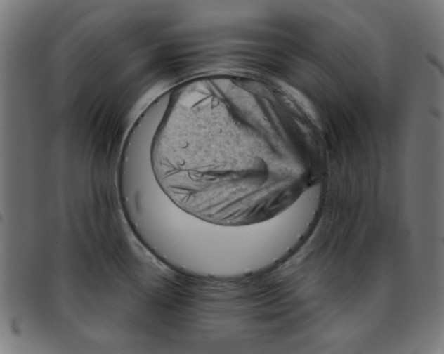 X0000096951338200803071020