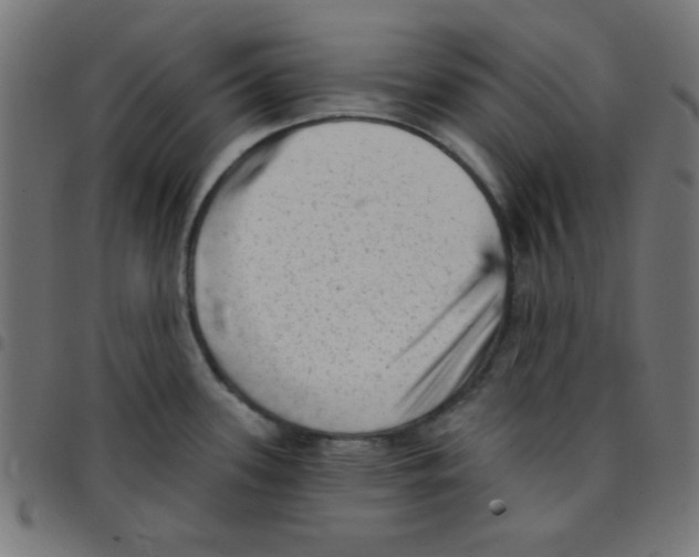 X0000096951339200803071020