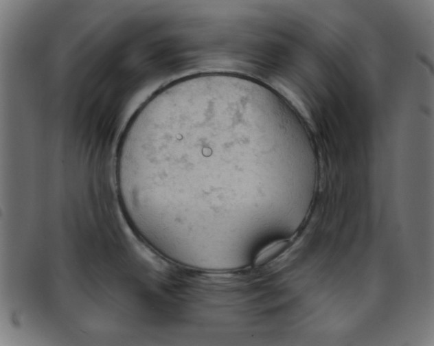 X0000096951342200803071020