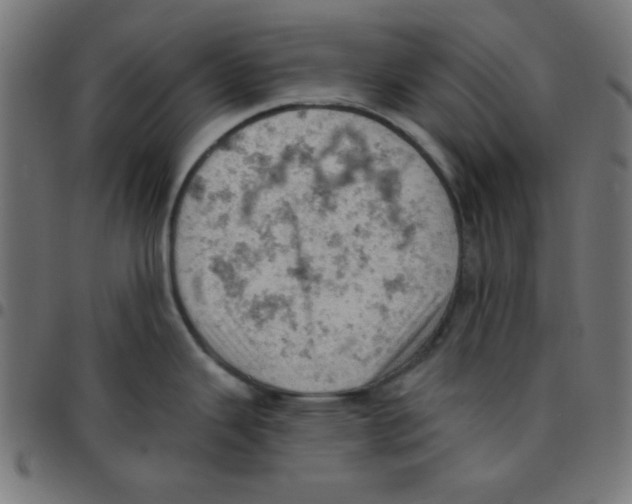 X0000096951343200803071020