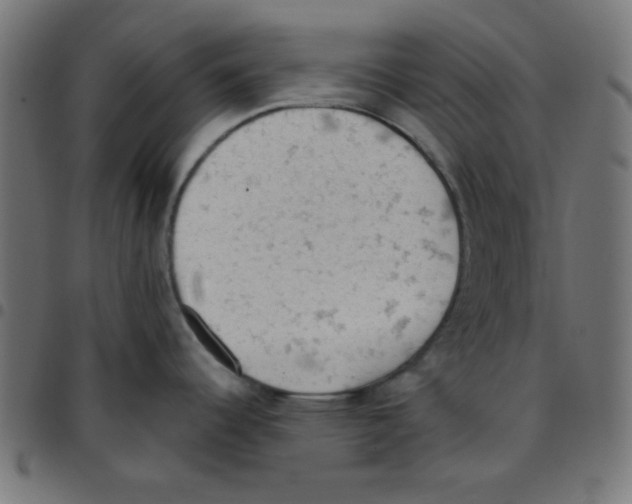 X0000096951344200803071020