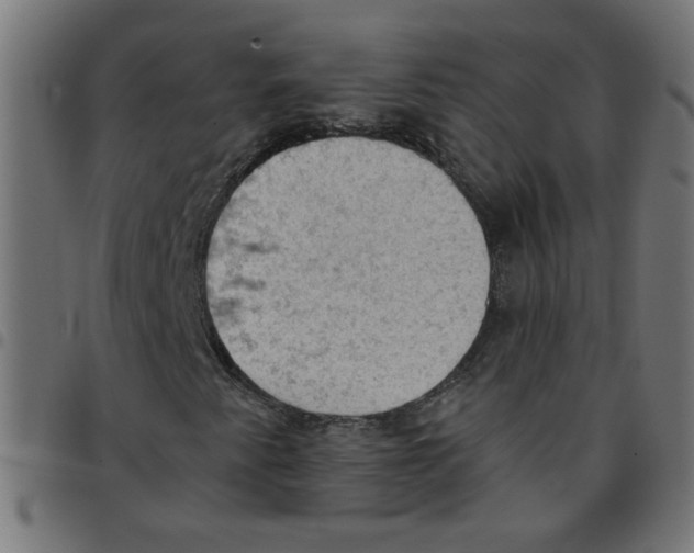 X0000096951345200803071019