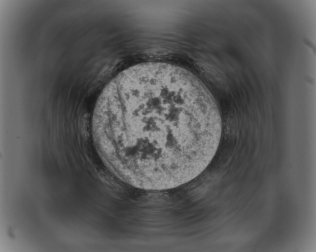 X0000096951346200803071019