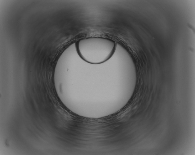 X0000096951348200803071019