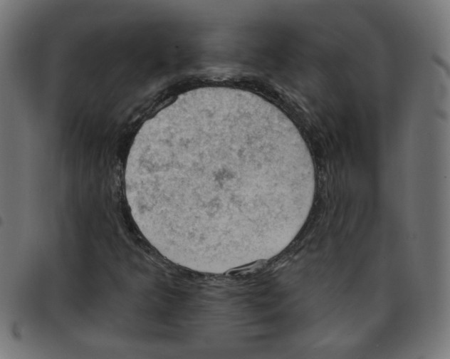 X0000096951349200803071019