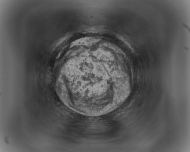 X0000096951350200803071019