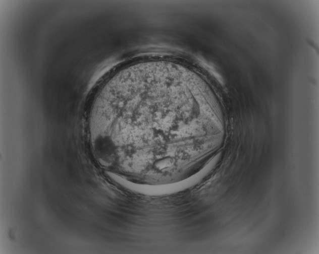X0000096951352200803071019