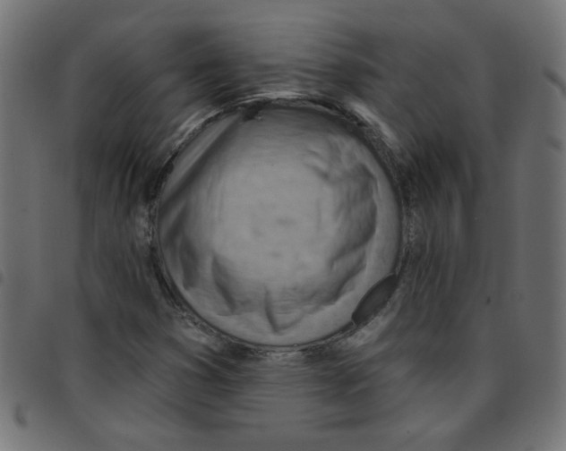 X0000096951353200803071019