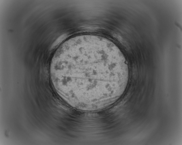 X0000096951354200803071019