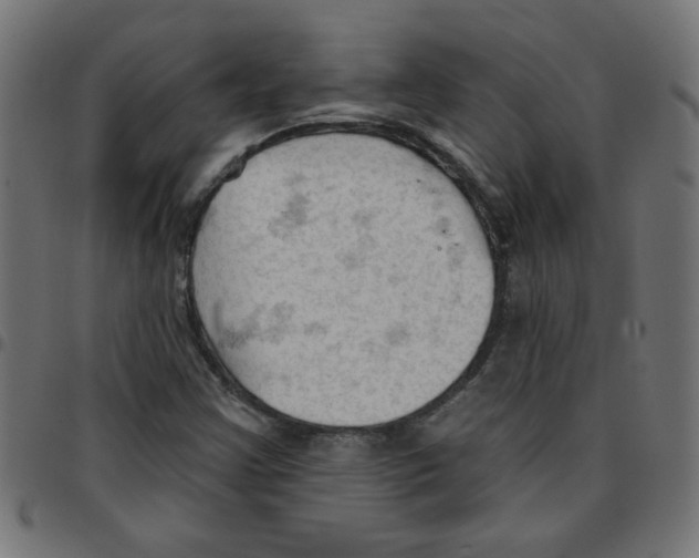 X0000096951355200803071019
