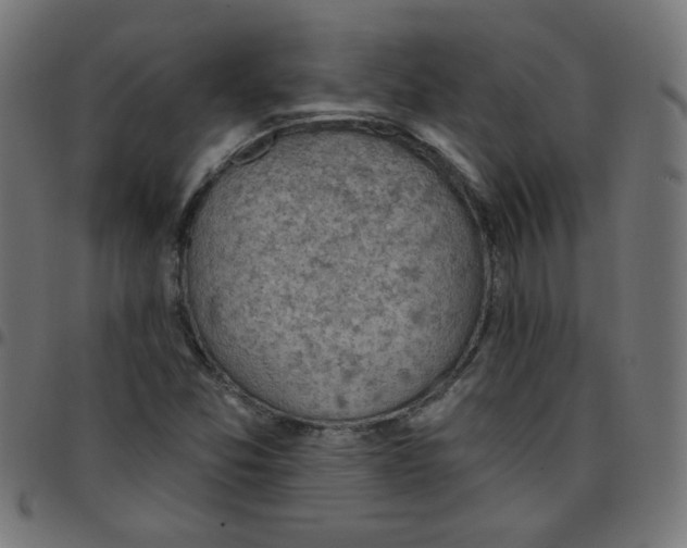 X0000096951357200803071019