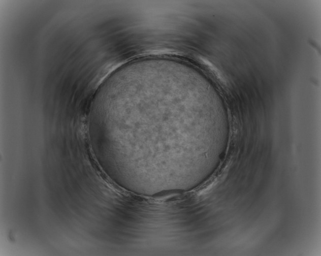 X0000096951361200803071019