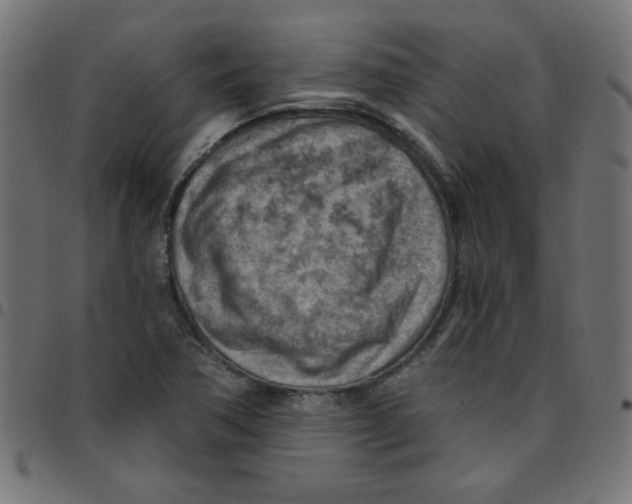 X0000096951362200803071019