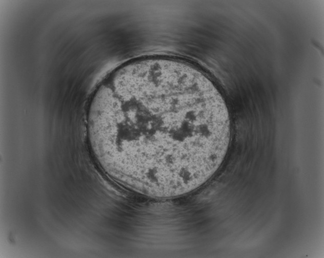 X0000096951363200803071019