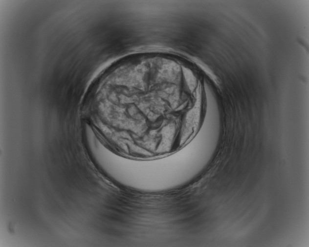X0000096951364200803071019