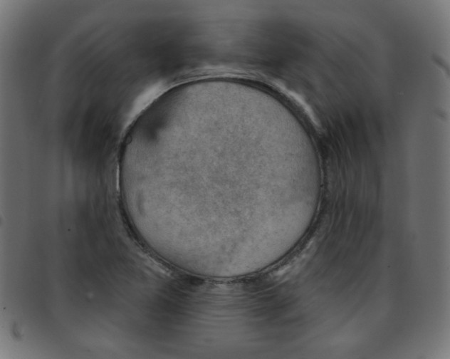 X0000096951365200803071019