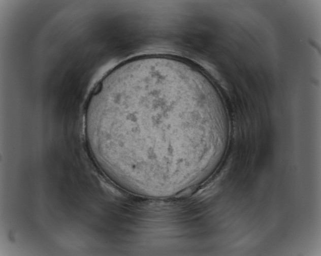 X0000096951366200803071019