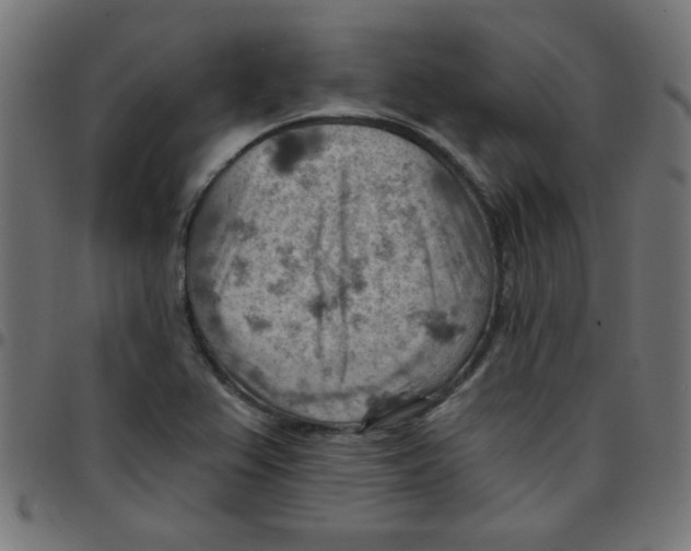 X0000096951367200803071019