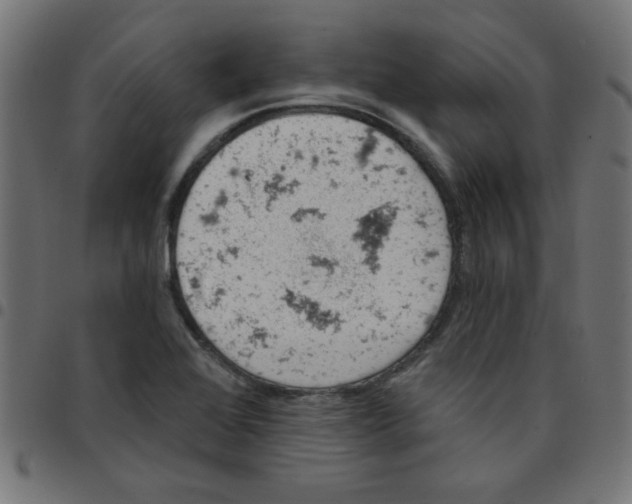 X0000096951368200803071019