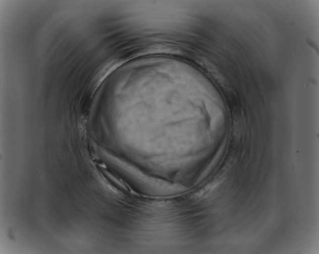 X0000096951369200803071019