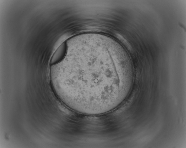 X0000096951370200803071019