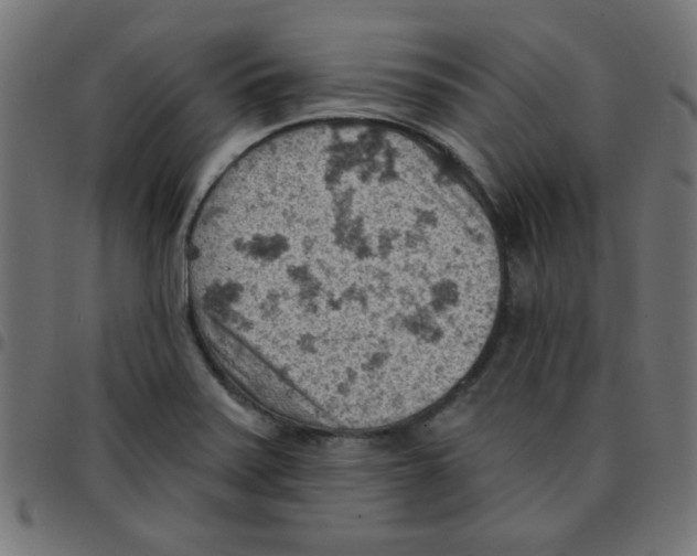X0000096951371200803071019