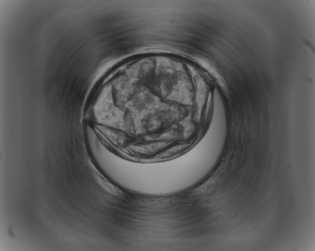 X0000096951372200803071019