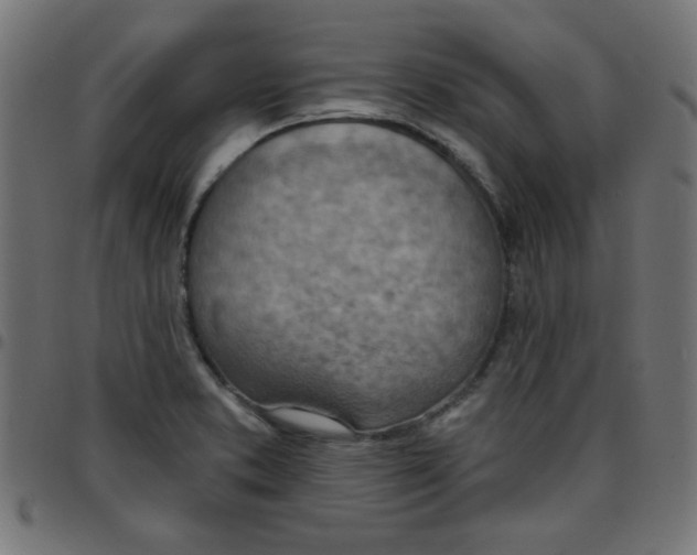 X0000096951373200803071019